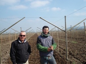 Chile EG grape system delivers high yields