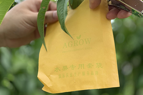 how to protect peach from damage