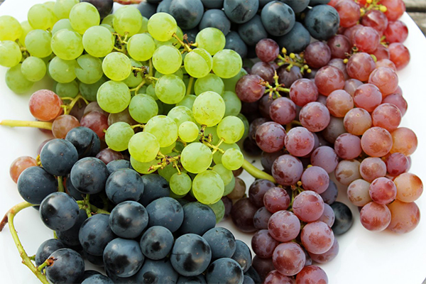 how to store table grapes
