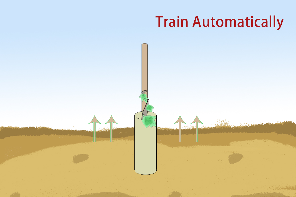 Agrow China-Tree Guard2