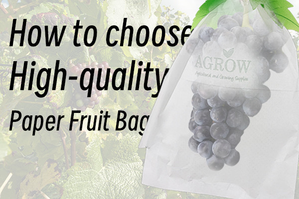 How to Choose a High-quality Paper Fruit Bag?