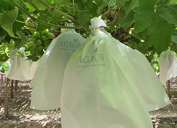 AGROW Grape Bags
