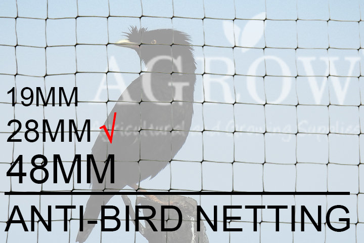 Anti-bird netting for Mynah
