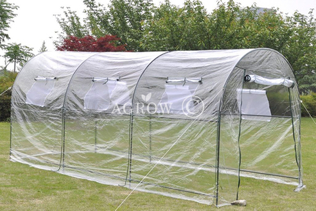 Garden Poly Tunnel