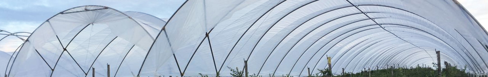 Agriculture Canopies and Shelters