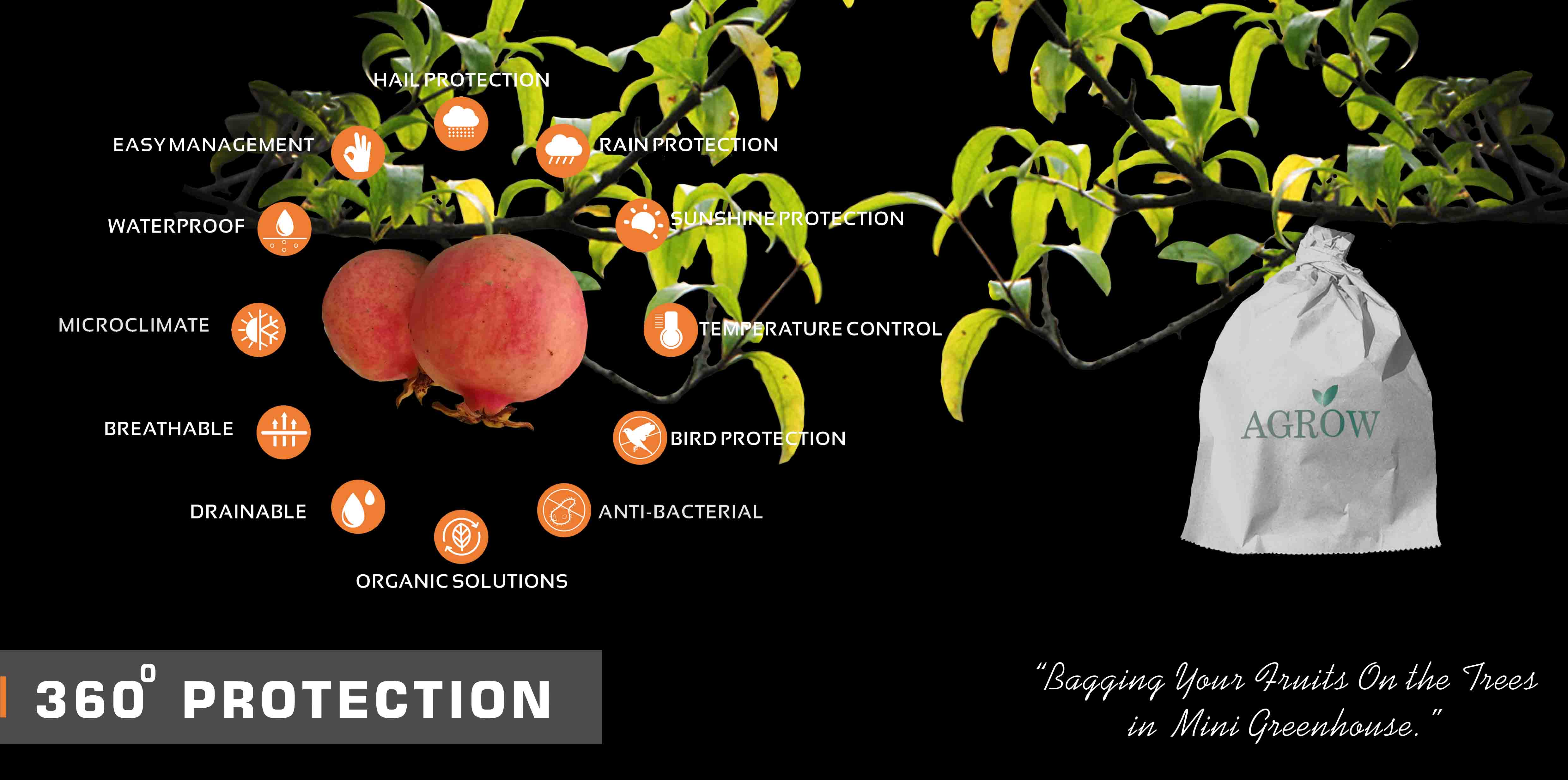 Pomegranate Growing Bags