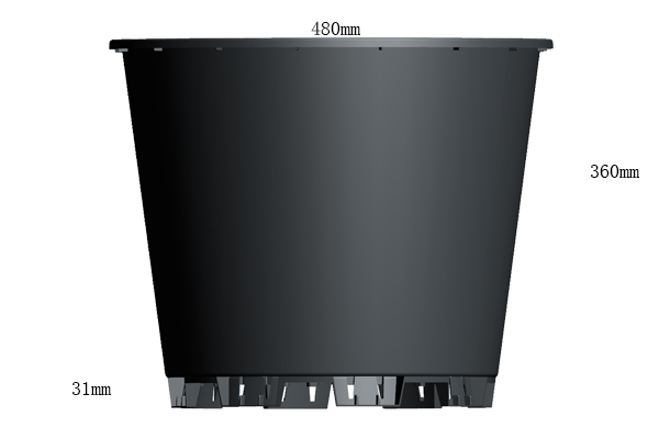 Blueberry Pot Size.jpg