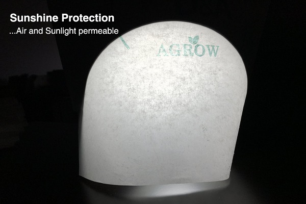 How to make fruit protection bags