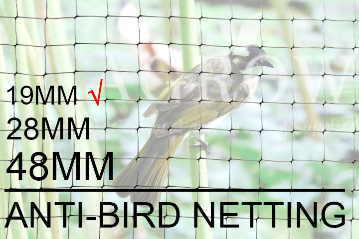 Anti-bird netting for sparrow