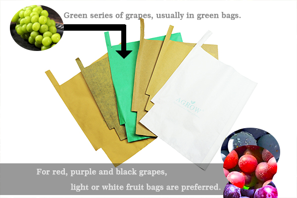 Agrow-Do you choose the right Grape Growing Bag 2