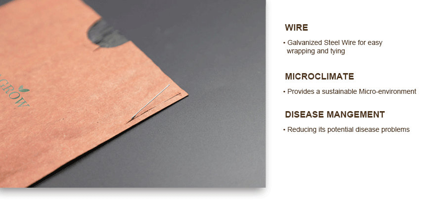 870_Peach-Growing-Bags-wire