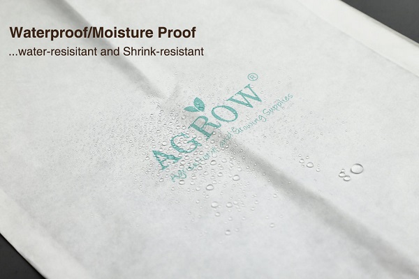 Bagging fruit on trees