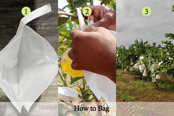 how to bag