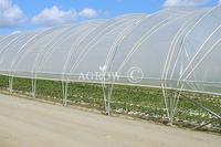 Single-bay Poly Tunnel