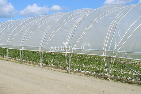 Single-bay Poly Tunnel