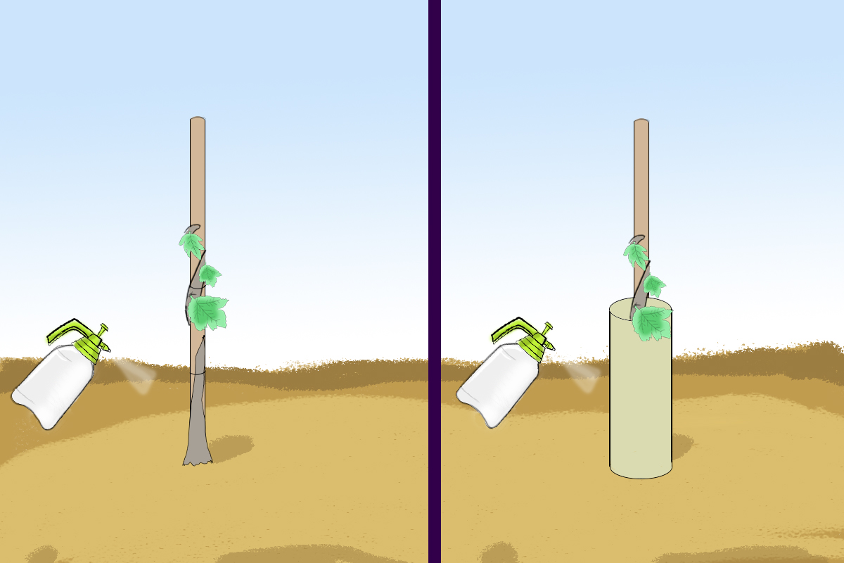 Agrow China-Tree Guard1