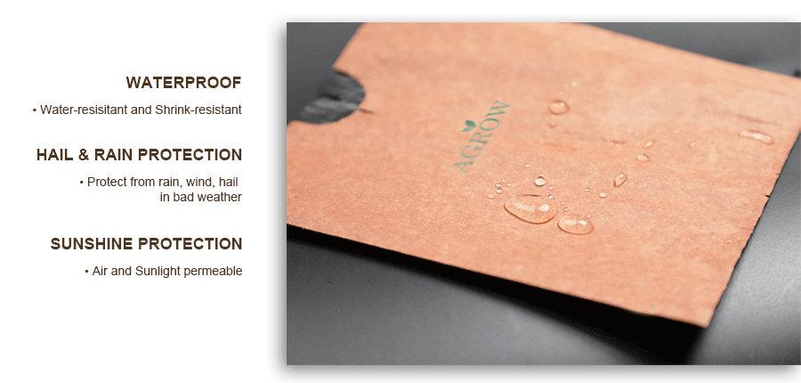 335_Peach-Growing-Bags-waterproof