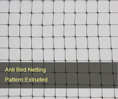 Anti Bird Netting-Extruded