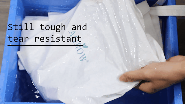 tutieshi_640x360_4s (1)