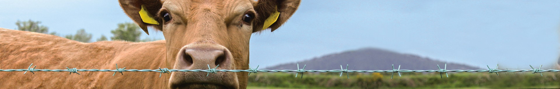Farm and Ranch Equipment