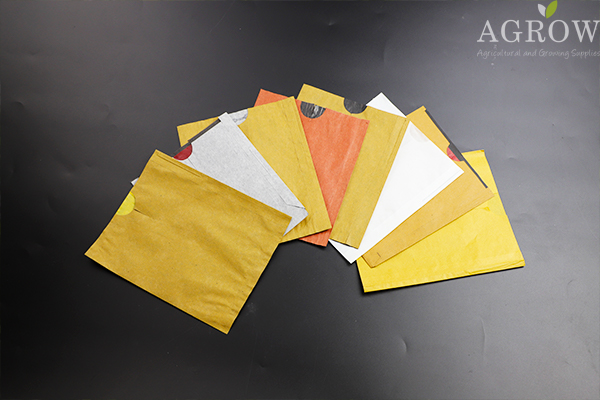 What do you need to know about fruit bagging2