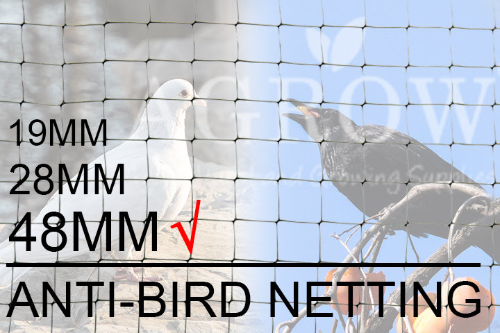 Anti-bird netting for Pigeons and Crow