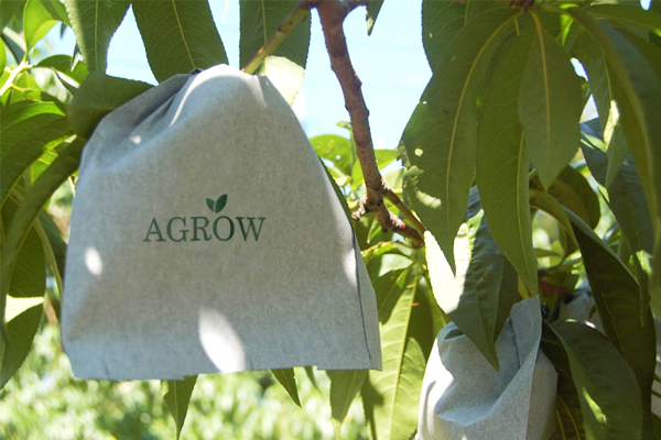 agrow fruit bag