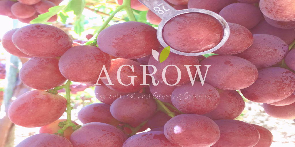 grapes benefitd for health