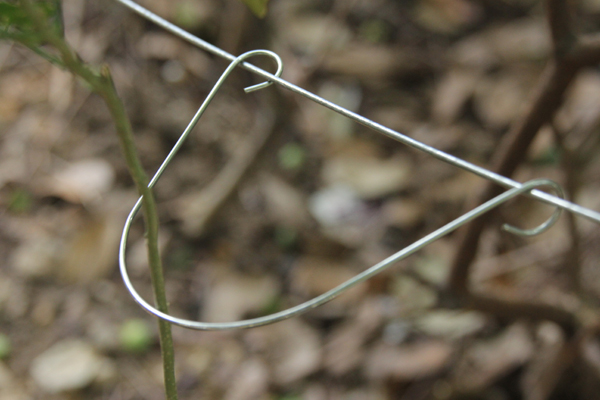 Clip for Vertical Line Post.jpg