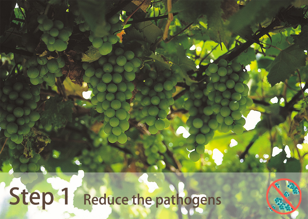 Reduce the pathogens