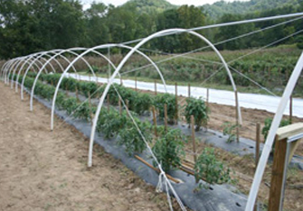 Hoop house pe rope.jpg