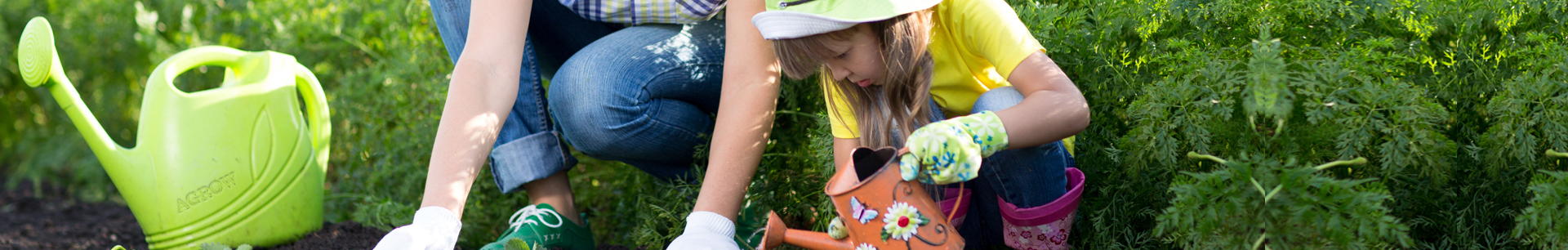 Horticulture and Garden