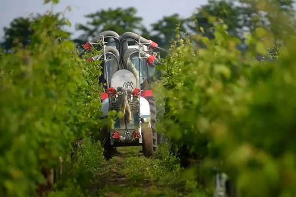 Reduce vineyard pesticide usage