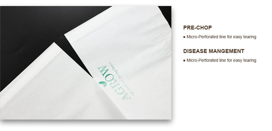 Grape-growing-bags-pre-chop