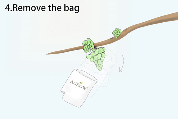 4 Remove the bag