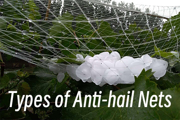 What are the Types of Anti-hail Nets？