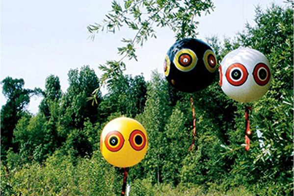 bird terror balloon