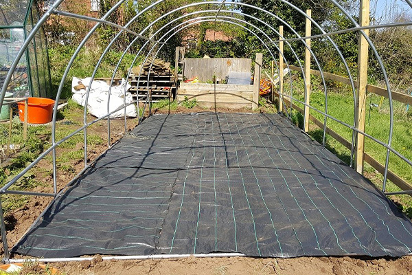single bay polytunnel 