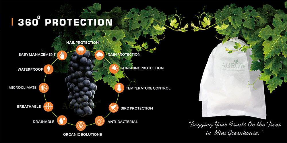 Grape-Bags-Black-Book