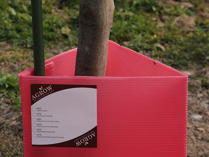AGROWHow To Choose The Right Tree Guard
