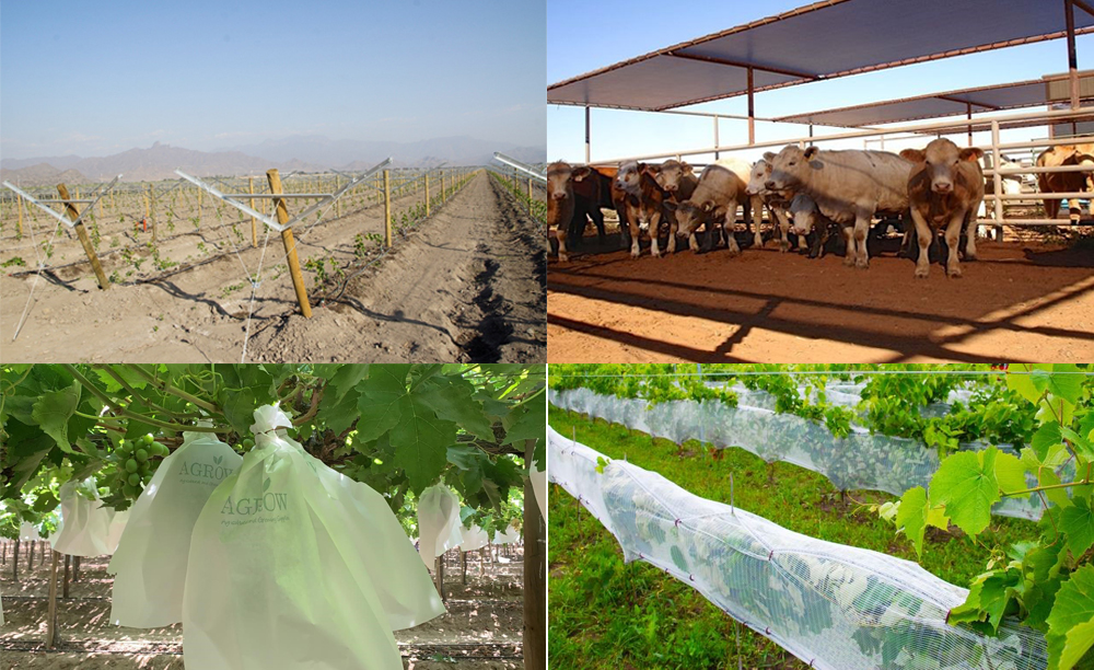 AGROW Various products