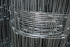 Hinge Joint Field Fence