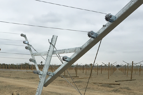 Open Gable Trellis System End Post Wire Strainer